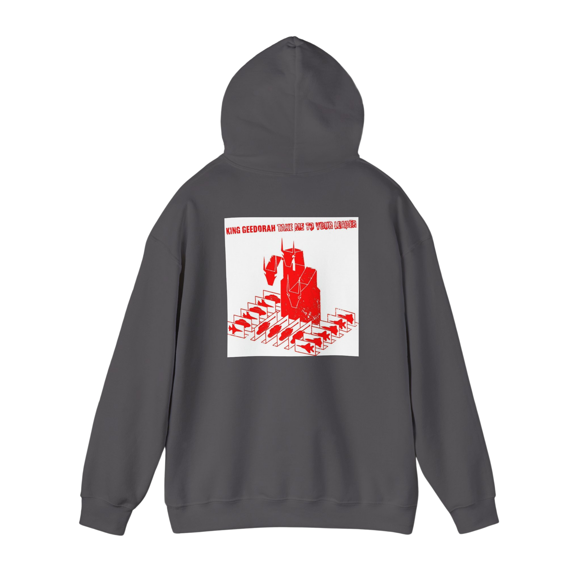 Back of Charcoal Take Me To Your Leader hoodie — relaxed fit with soft fleece lining