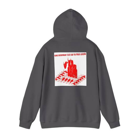Back of Charcoal Take Me To Your Leader hoodie — relaxed fit with soft fleece lining