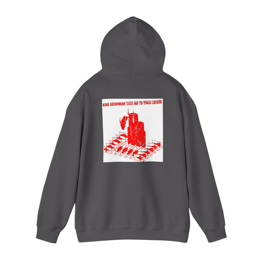 Back of Charcoal Take Me To Your Leader hoodie — relaxed fit with soft fleece lining